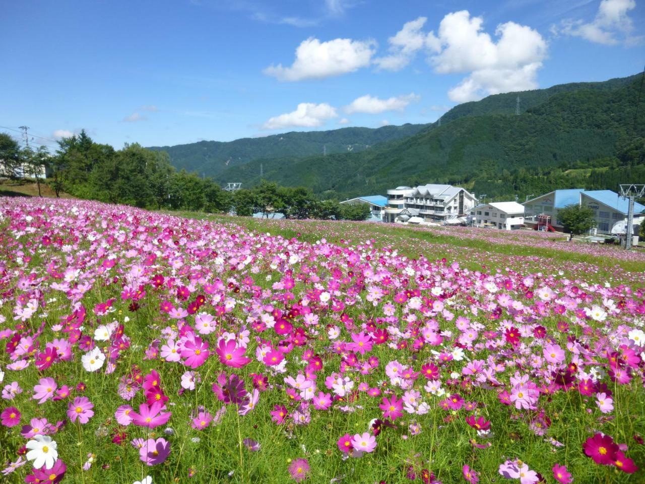 Joyful Honoki Otel Takayama  Dış mekan fotoğraf